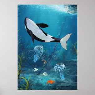 Poster Orca II