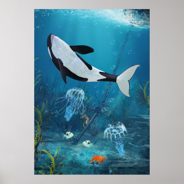 Poster Orca II (Devant)