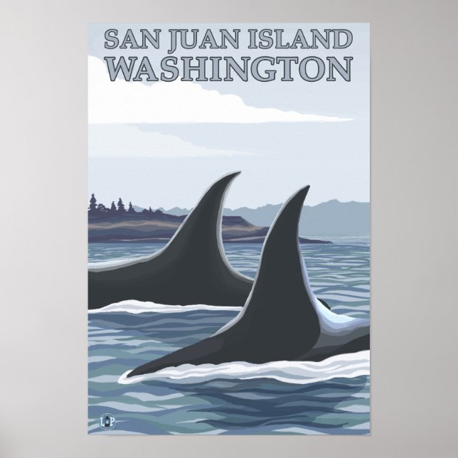 Poster Orca Whales #1 - San Juan Island, Washington (Devant)