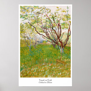 Poster Orchard à Bloom Vincent van Gogh fine art