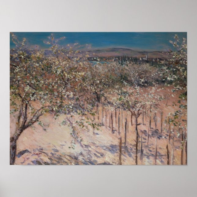 Poster Orchard avec pommiers à fleurs, Colombes (Devant)