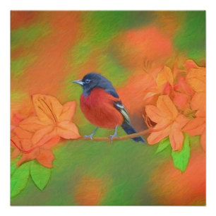 Poster Orchard Oriole Songbird Peinture Oiseau original