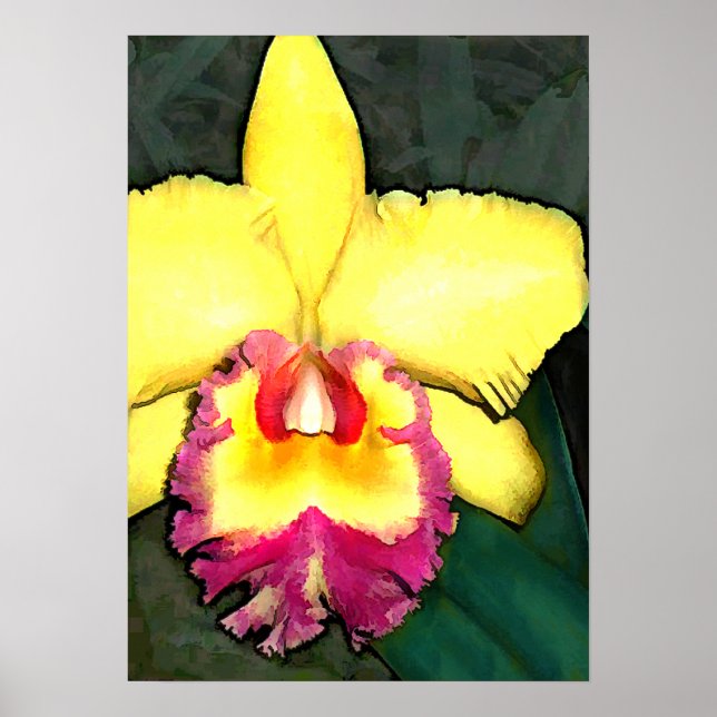 Poster Orchidée de Cattleya violet et jaune (Devant)