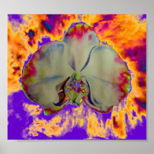 Poster Orchidée de feu, abstraite peinture florale tropic