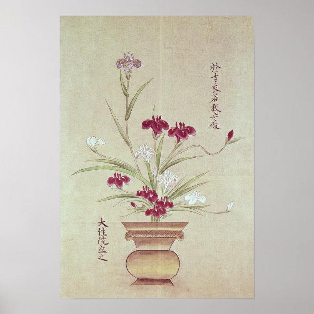 Poster Orchidées (Devant)