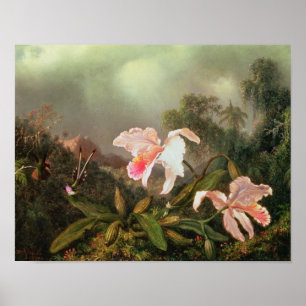 Poster Orchidées de jungle et colibris, 1872