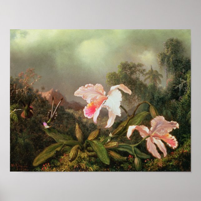 Poster Orchidées de la jungle et colibris, 1872 (Devant)