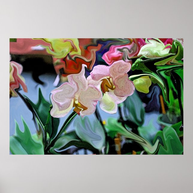 Poster Orchids (Devant)