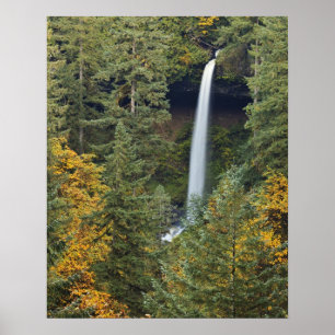 Poster Oregon, parc d'État de Silver Falls, North Falls