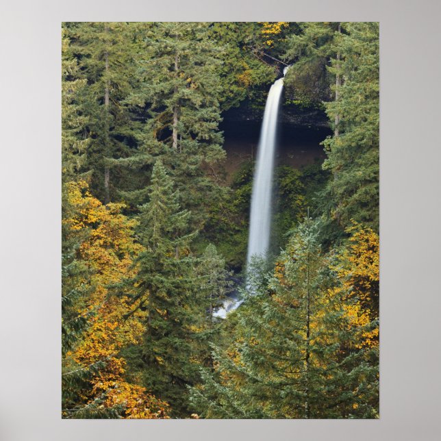 Poster Oregon, parc d'État de Silver Falls, North Falls (Devant)