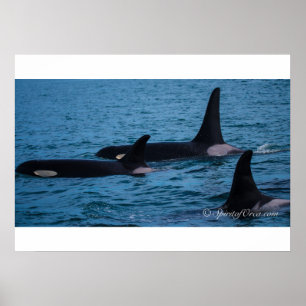 Poster Oreo, Cookie et DoubleStuf