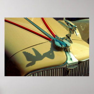 Poster Ornement du radiateur de vitesse Auburn