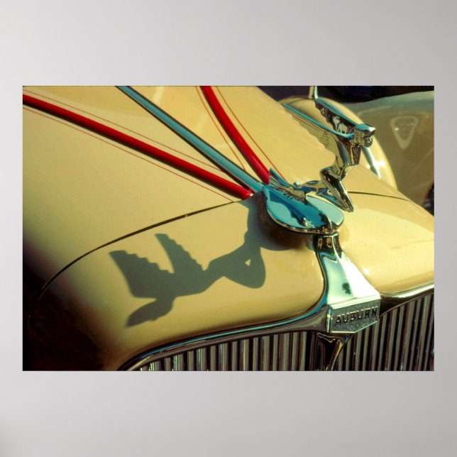 Poster Ornement du radiateur de vitesse Auburn (Devant)