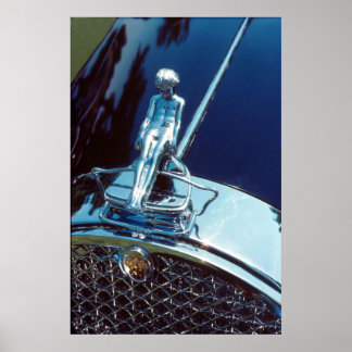 Poster Ornement du radiateur Packard Adonis