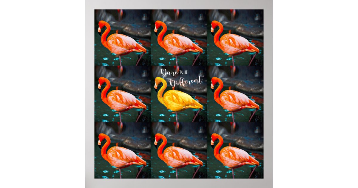 Poster Oser Citation Flamants Roses Orange Rose Et Jaun Zazzle Fr Poster Oser Citation Flamants Roses Orange Rose Et Jaun Zazzle Fr