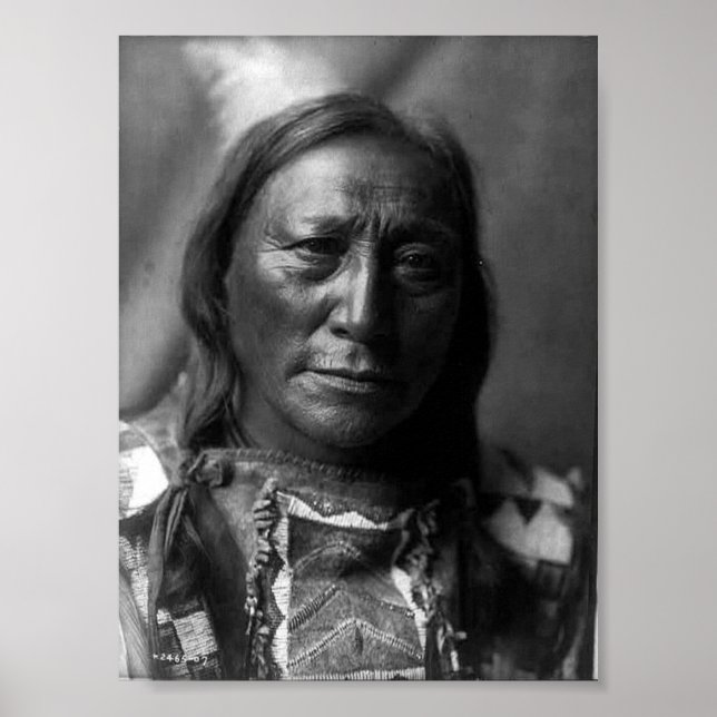 Poster Ours à corne blanche (Devant)