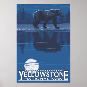 Poster Ours au clair de lune - Parc national de Yellowsto