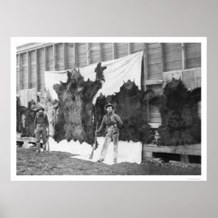 Poster Ours chassant l'Alaska 1906