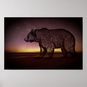 Poster Ours De Nuit Et Aurora Borealis