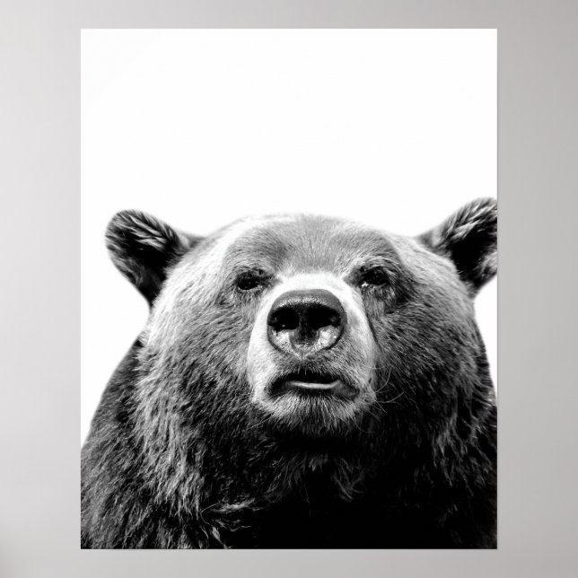 Poster Ours noir blanc animal de forêt cache-cache photo (Devant)