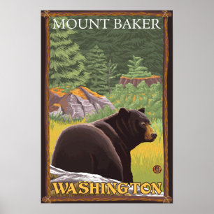 Poster Ours noir en forêt - Mount Baker, Washington