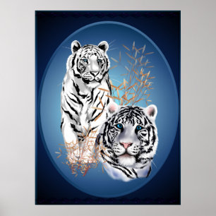 Poster ovale de deux tigres blancs