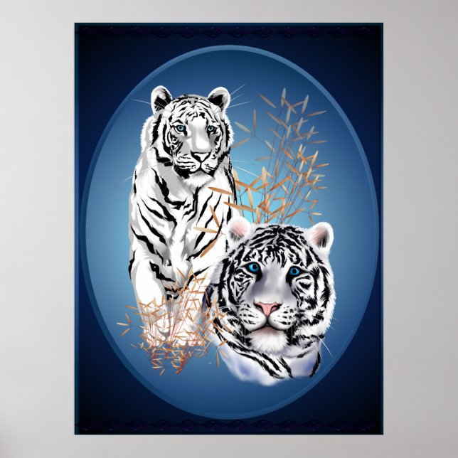 Poster ovale de deux tigres blancs (Devant)