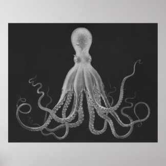 Poster Oversized Octopus Triptych Print in Gray