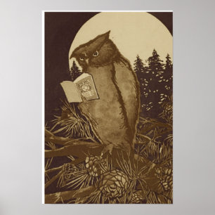 Poster Owl Lecture d'un livre de Moonlight