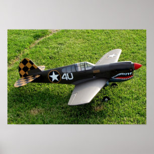 Poster P-40 Warbird