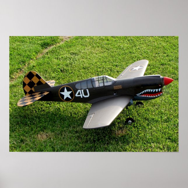 Poster P-40 Warbird (Devant)