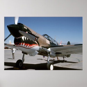Poster P-40 Warhawk