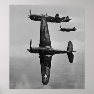 Poster P-40 Warhawks