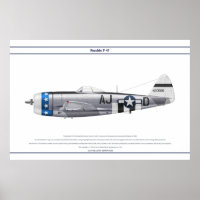 P-47D 356FS USAAF