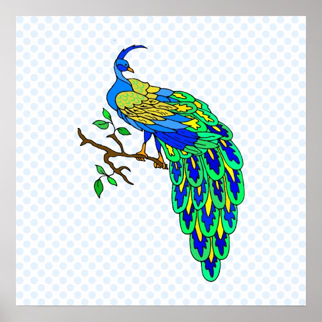 Poster Pagiel Peacock (Devant)