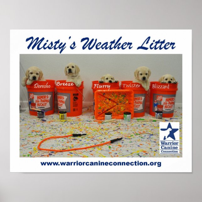 Poster Paint Bucket Puppies (Devant)