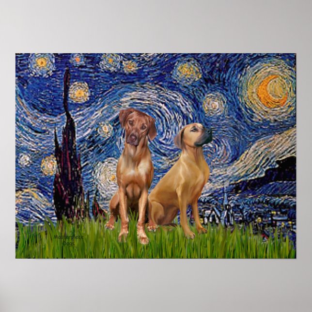 Poster Paire de Ridgeback Rhodésien - Nuit étoilée (Devant)
