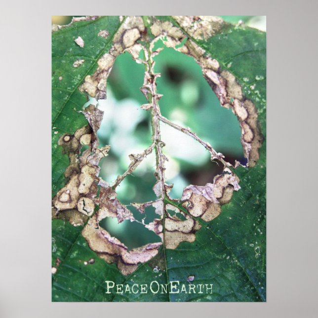 Poster paix (Devant)