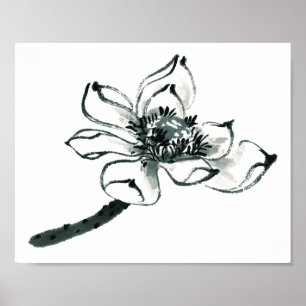 Poster Paix   Belle aquarelle Lotus