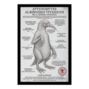 Poster Pale Abyssal Penguin (Miskatonic Antarctic Survey)