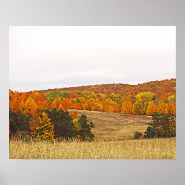 POSTER "PALETTE D'AUTOMNE/CAMPAGNE MICHIGAN" (Devant)