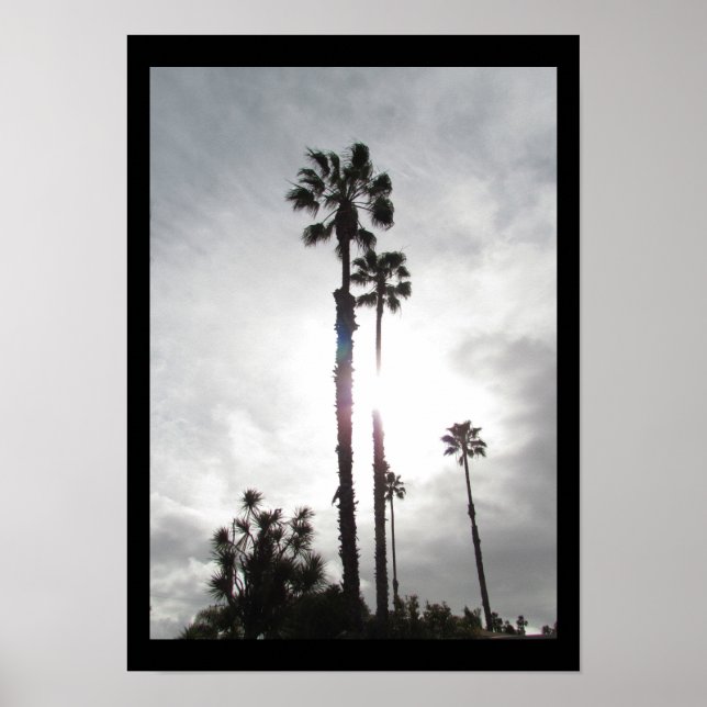 Poster - Palm Tree Silhouette (Devant)