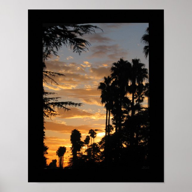 Poster Palm Tree Sunset Los Angeles 11x14 (Devant)