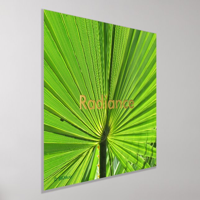 Poster - Palme Rayant Frond (Poser)