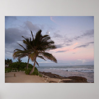 Poster Palmiers au paradis