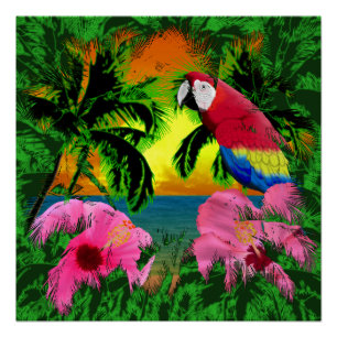Poster Palmiers Et Couchers De Soleil Sur L'Île