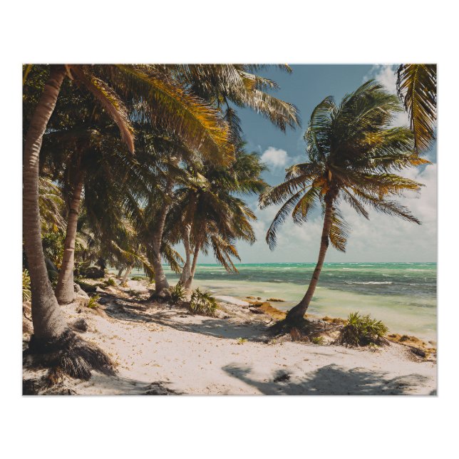 Poster Palmiers Exotiques Mer Turquoise Plage de Sable Bl (Devant)