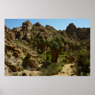 Poster Palms perdus Oasis II au parc national de Joshua T