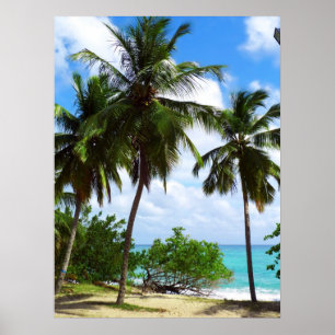Poster Palmtrees sur l'affiche tropicale de paysage marin