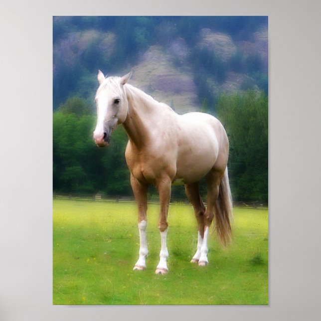 Poster Palomino Dream Horse (Devant)